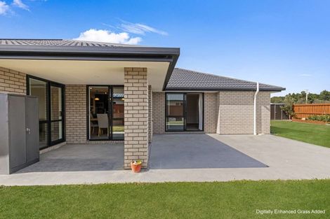 Photo of property in 45 Catalina Crescent, Burleigh, Blenheim, 7201