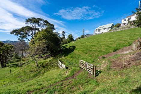 Photo of property in 101 Maryhill Terrace, Maryhill, Dunedin, 9011