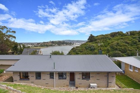 Photo of property in 20 Larnach Road, Waverley, Dunedin, 9013