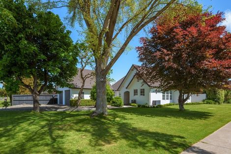 Photo of property in 34 Purkiss Street, Springlands, Blenheim, 7201