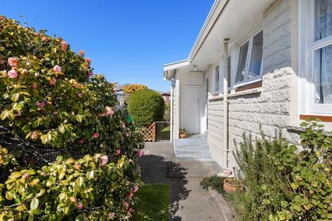 Photo of property in 22 Mitchell Street, Redwoodtown, Blenheim, 7201
