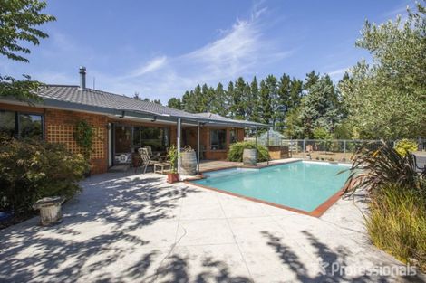 Photo of property in 69 Frederick Street, Carterton, 5713