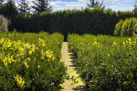 Photo of property in 88b Lockington Road, Aongatete, Katikati, 3181