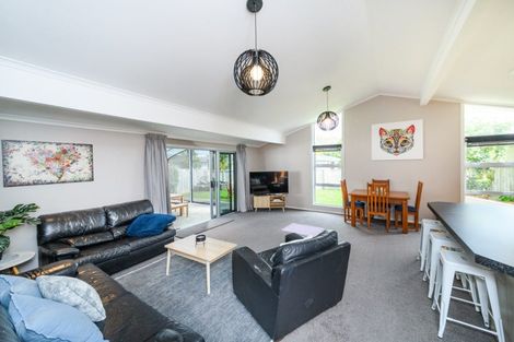 Photo of property in 17 Patea Place, Terrace End, Palmerston North, 4410
