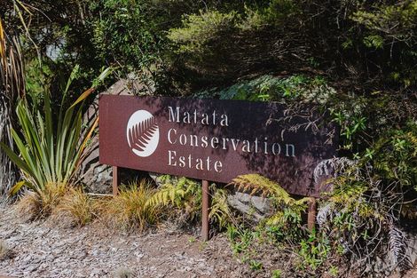 Photo of property in 229 Kokako Heights, Matata, 3194