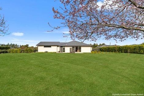 Photo of property in 3 Aberdeen Place, Amberley, 7410