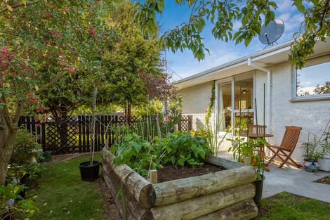 Photo of property in 16a Brian Bary Street, Redwoodtown, Blenheim, 7201