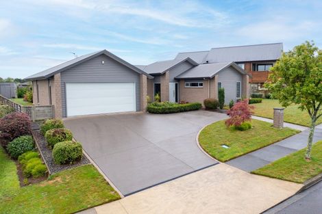Photo of property in 15 Ballybunnion Crescent, Morrinsville, 3300