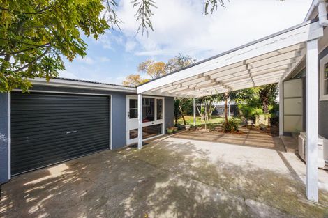 Photo of property in 23 Forbury Avenue, Takaro, Palmerston North, 4412