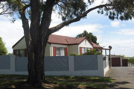 Photo of property in 67 Finlayson Avenue, Clendon Park, Auckland, 2103