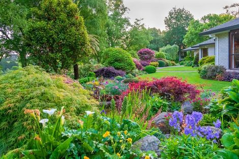 Photo of property in 351 Hossack Road, Ngakuru, Rotorua, 3077