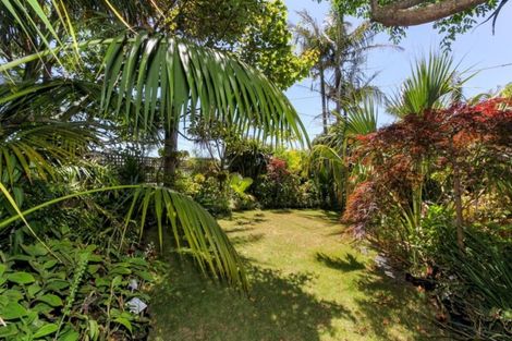 Photo of property in 65 Paynters Avenue, Strandon, New Plymouth, 4312