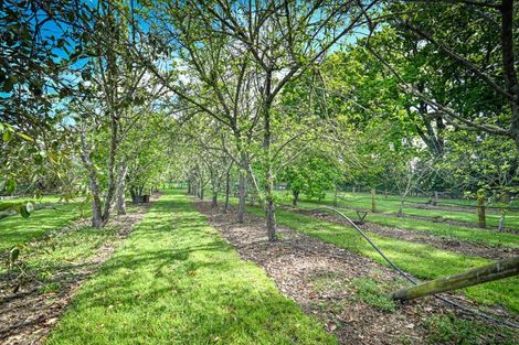 Photo of property in 72 Raupare Road, Twyford, Hastings, 4175