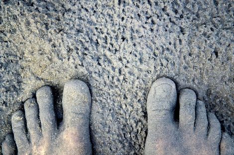 Photo of property in 54d Buffalo Beach Road, Whitianga, 3510