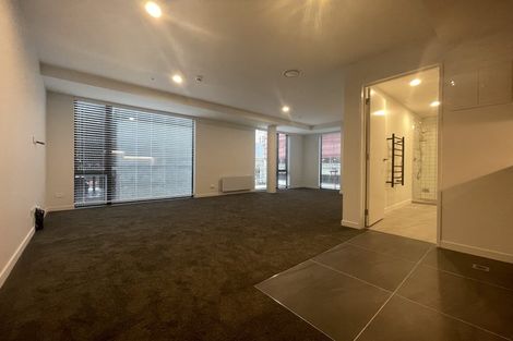 Photo of property in Pinnacle Apartments, W303/160 Victoria Street, Te Aro, Wellington, 6011