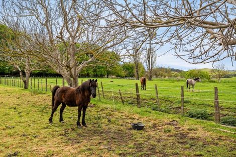 Photo of property in 559 Raukawa Road, Raukawa, Hastings, 4174