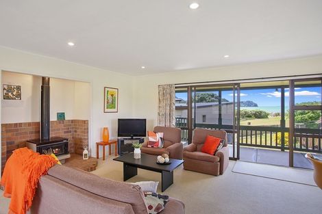 Photo of property in 103 Buffalo Beach Sh25 Road, Whitianga, 3510