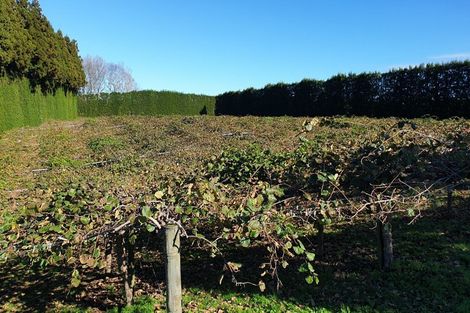 Photo of property in 40 Clarke Road, Te Puna, Tauranga, 3176