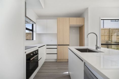 Photo of property in 19 Clay Works Lane, New Lynn, 0600