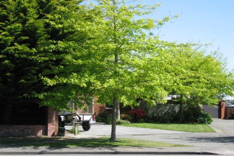 Photo of property in 6 Harrall Place, Kaiapoi, 7630