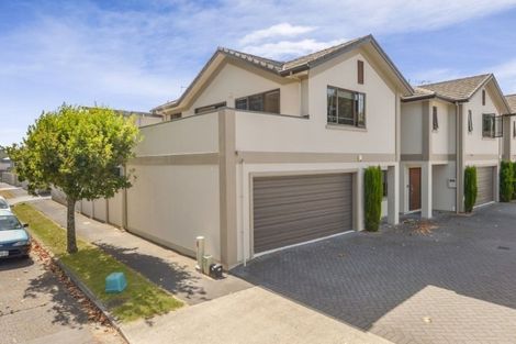 Photo of property in 42a Willoughby Street, Whitiora, Hamilton, 3200