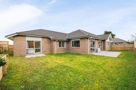 Photo of property in 43 Longbow Terrace, Flagstaff, Hamilton, 3210