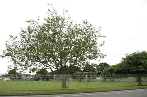 Photo of property in 32 Queen Street, Pukekohe, 2120