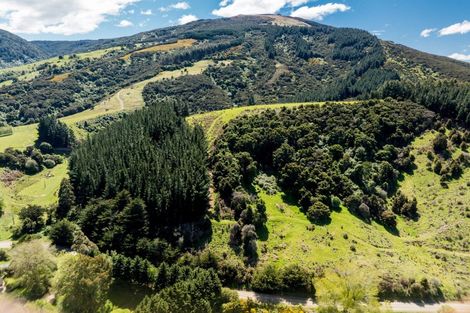 Photo of property in 292 Waipori Falls Road, Berwick, Outram, 9073