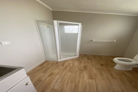 Photo of property in 193a Galloway Street, Hamilton East, Hamilton, 3216