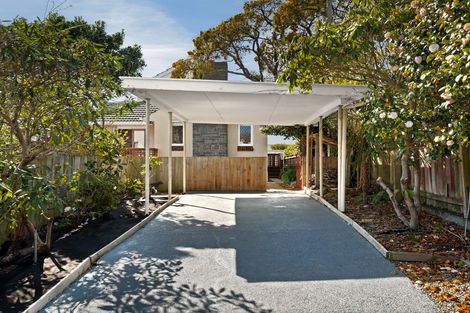 Photo of property in 182 Maitland Street, Dunedin Central, Dunedin, 9016