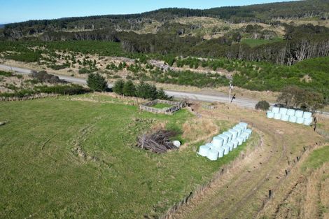 Photo of property in 1612 Tahakopa Valley Road, Tahakopa, Owaka, 9586