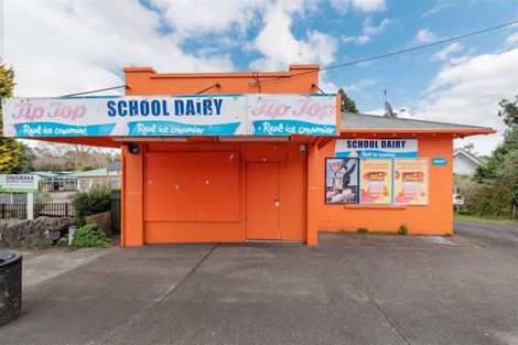 Photo of property in 111 Richardson Road, Mount Albert, Auckland, 1025