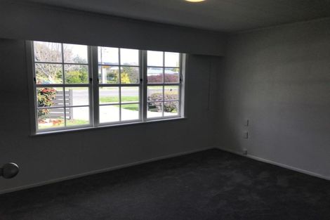 Photo of property in 58 Te Aute Road, Havelock North, 4130