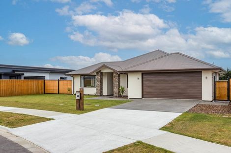 Photo of property in 13 Merino Crescent, Amberley, 7410
