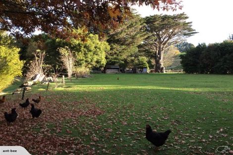 Photo of property in 100 Falloon Settlement Road, Kaituna, Masterton, 5888