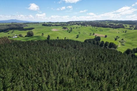 Photo of property in 1401 Whangamata Road, Marotiri, Taupo, 3377