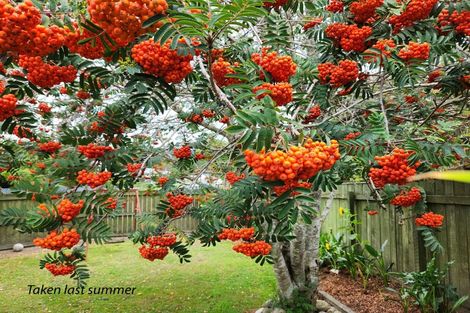 Photo of property in 3 Topaz Street, Birchville, Upper Hutt, 5018