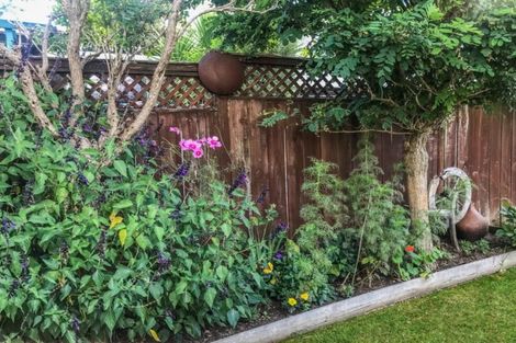 Photo of property in 25 Brandon Road, Glen Eden, Auckland, 0602