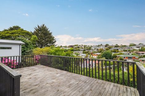 Photo of property in 250 Helensburgh Road, Helensburgh, Dunedin, 9010