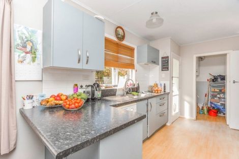 Photo of property in 55 Mears Road, St Andrews, Hamilton, 3200