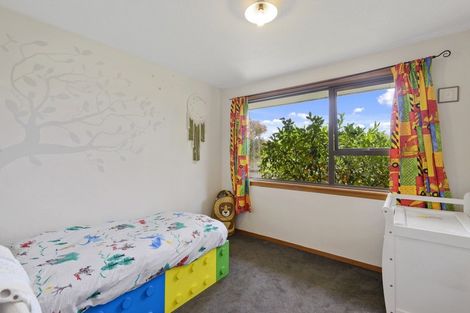 Photo of property in 29 Shelley Street, Rolleston, 7614