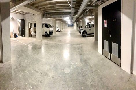 Photo of property in 509/8 Kingsland Terrace, Kingsland, Auckland, 1021