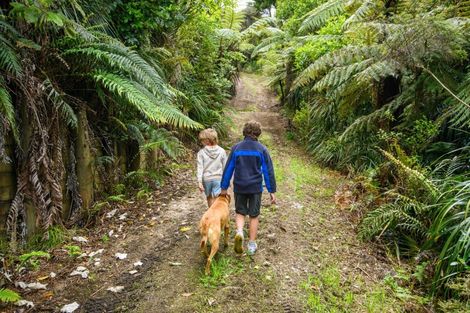 Photo of property in 305 Wairere Road, Waitakere, Auckland, 0782