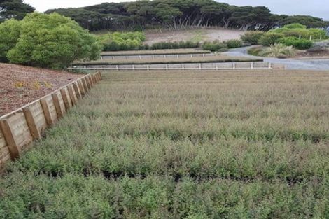 Photo of property in 144 Otaihanga Road, Otaihanga, Paraparaumu, 5036