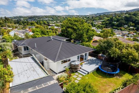 Photo of property in 38 Islington Street, North East Valley, Dunedin, 9010