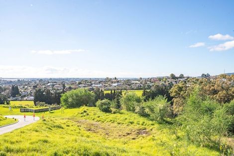 Photo of property in 99 Carmen Way, Ohauiti, 3112