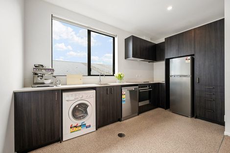 Photo of property in Aniva Terrace, 13 Arney Street, Newtown, Wellington, 6021