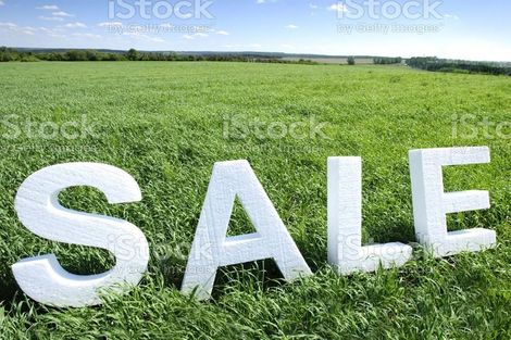 Photo of property in 15 Lomond Avenue, Tokoroa, 3420