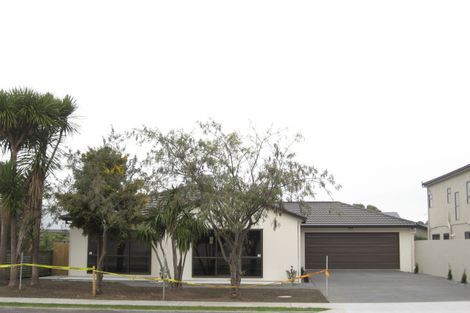 Photo of property in 133 Wharerangi Road, Greenmeadows, Napier, 4112