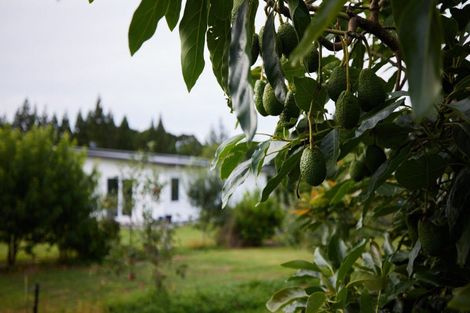 Photo of property in 150 Cemetery Road, Maunu, Whangarei, 0179